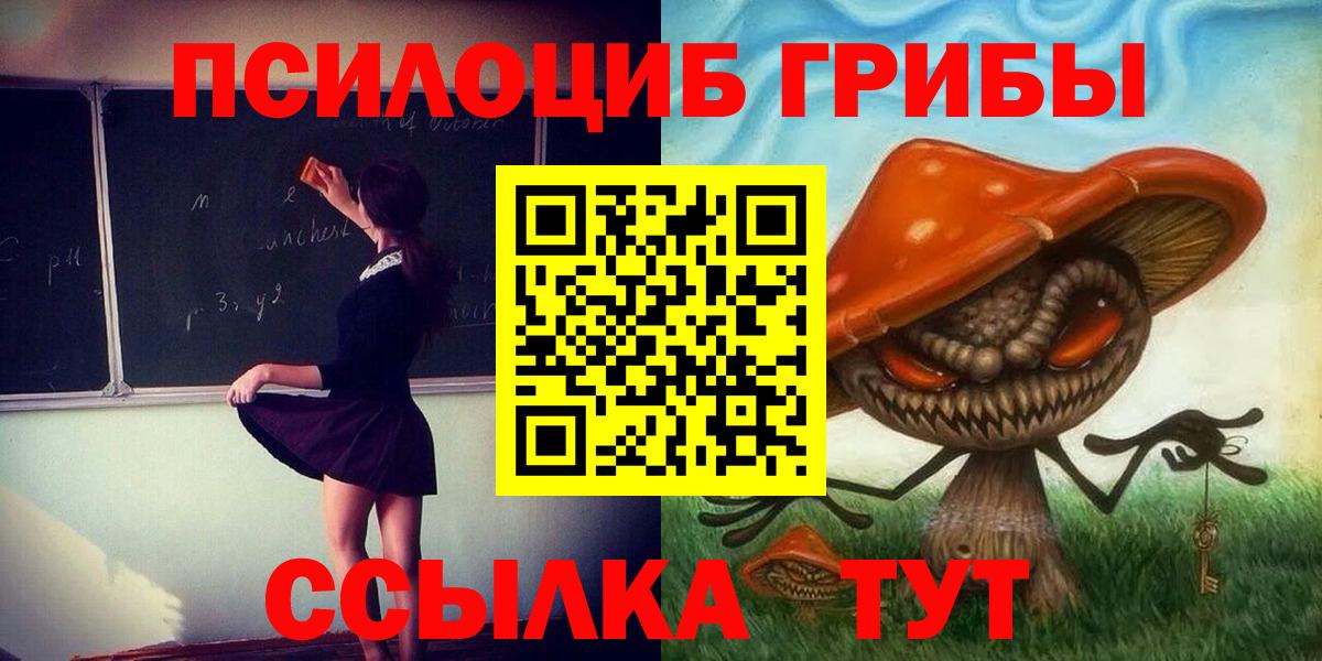 Галлюциногенные грибы Psilocybe  Галлюциногенные грибы GOLDEN TEACHER  Ялта  Вход с VPN 